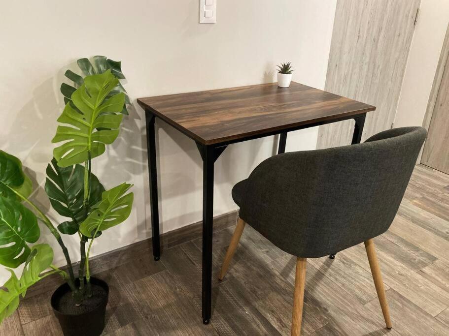 אפרטהוטל מקסיקו סיטי Corazon De Condesa 3 Departamentos - 200Mbps Wifi, Roof, Gym מראה חיצוני תמונה